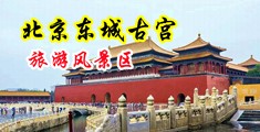 帅哥大鸡鸡中国北京-东城古宫旅游风景区